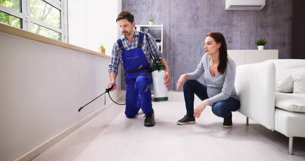 Best Pest Prevention Services  in New River, AZ